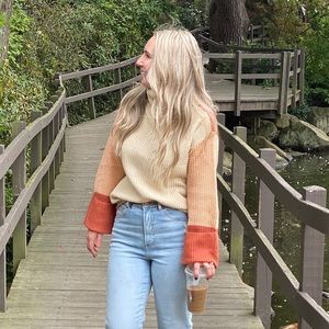 Shein Colorblock Sweater